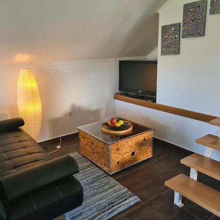 Apartment Marin Огулин Екстериор снимка