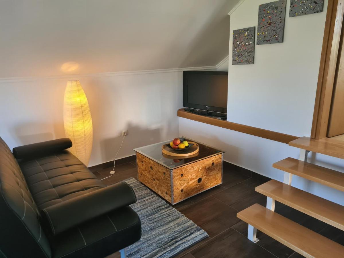 Apartment Marin Огулин Екстериор снимка