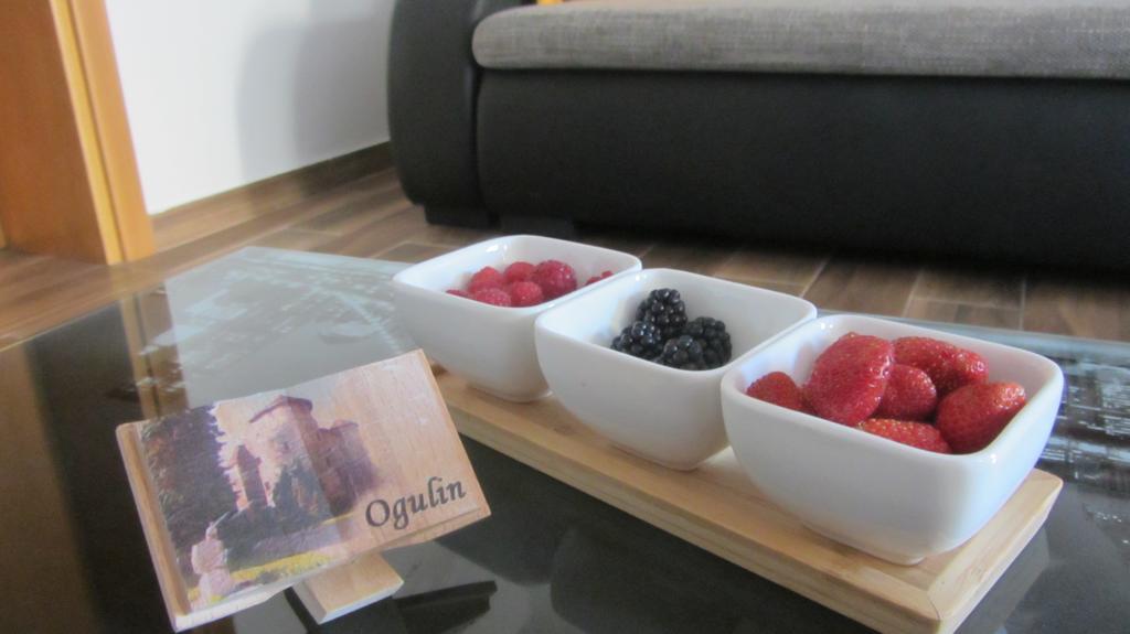 Apartment Marin Огулин Екстериор снимка